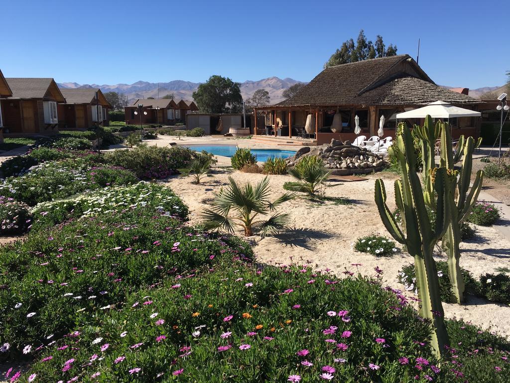 Hotel El Bramador Copiapó Exteriér fotografie